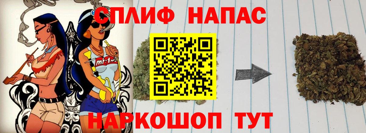 Каннабис план Киселёвск